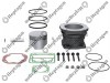 Cylinder Liner Set / 9304 830 009