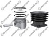 Cylinder Liner Set / 9304 830 019