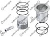 Cylinder Liner Set (Ø60.00 mm) / 9304 830 029